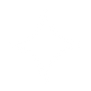 Step 5 — Shape (optional)